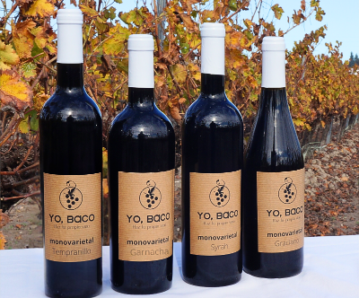 Pack Regalo Experiencia Coupage Vino Tinto
