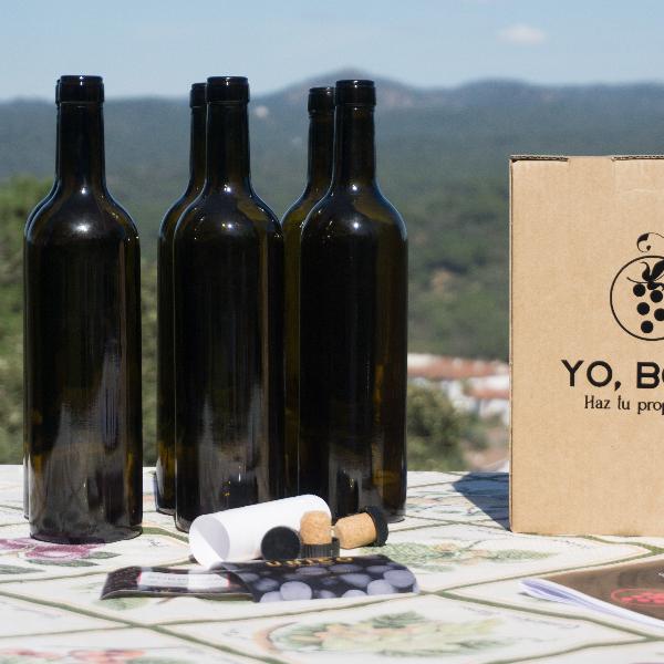 Experiencia Iniciación al Envejecimiento de Vino Tinto con Chips de Roble "Candy"