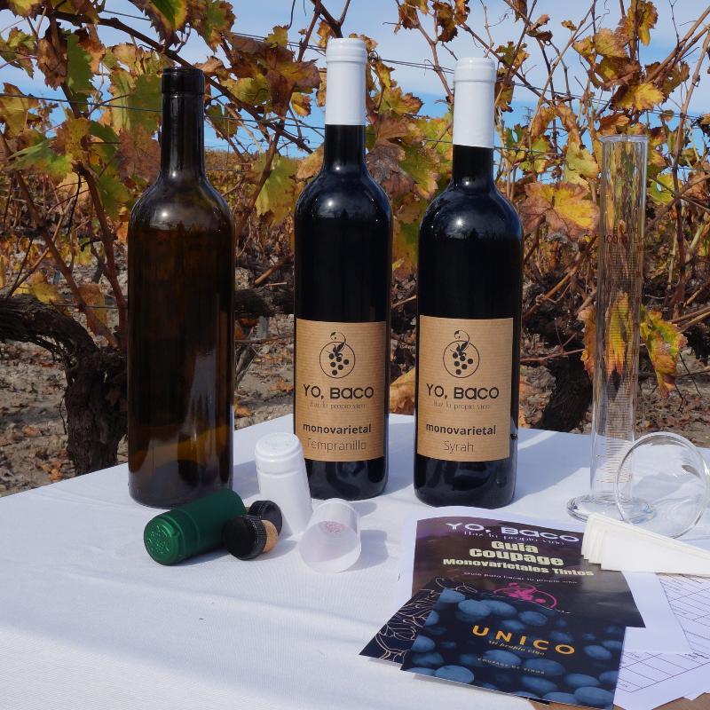 Iniciación al Coupage de Vinos Tintos "Tu primer vino"