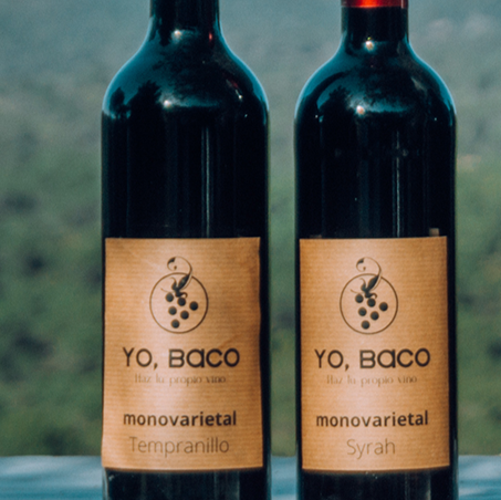 Iniciación al Coupage de Vinos Tintos "Tu primer vino"