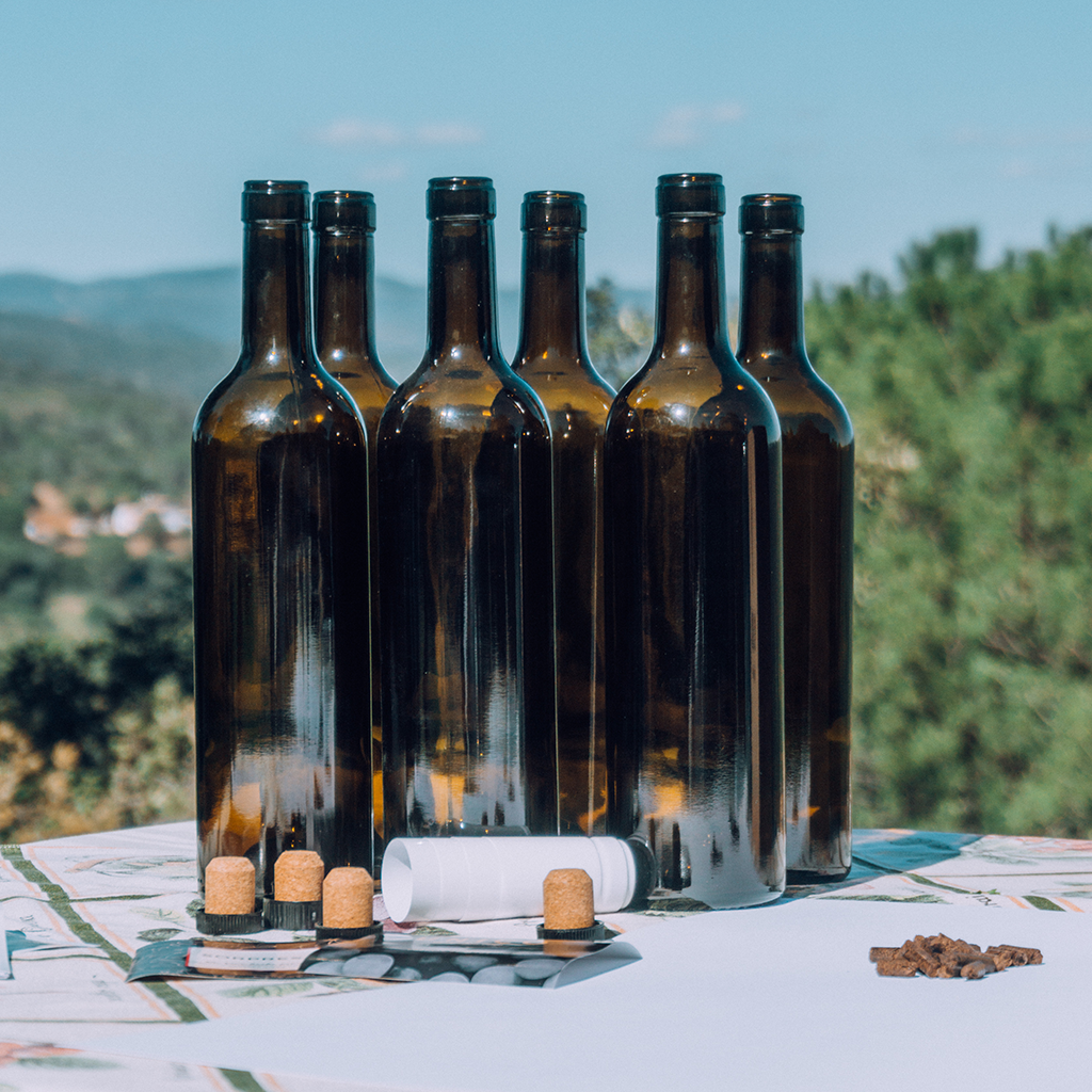 Experiencia Completa de Envejecimiento de Vino " Tu primer Crianza"